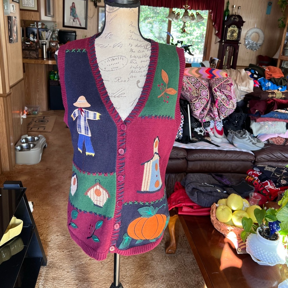 Woman’s vintage Capacity fall embroidered knit sweater vest.